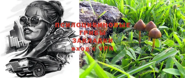 ПСИЛОЦИБИНОВЫЕ ГРИБЫ Абдулино