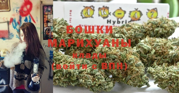 ПСИЛОЦИБИНОВЫЕ ГРИБЫ Абдулино