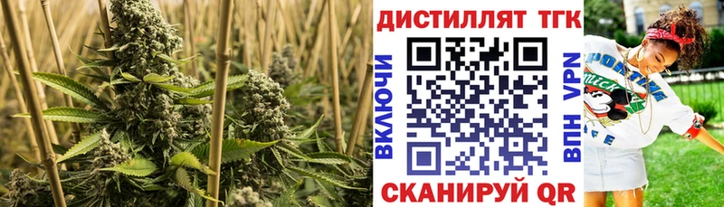 ТГК гашишное масло  Кяхта 